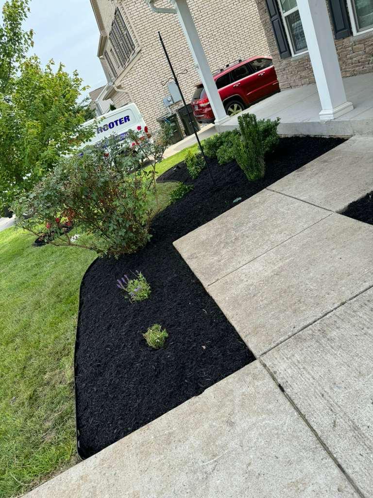 Landscaping bed with mulch, plants and clean borders